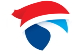 SnowDome Logo
